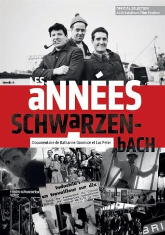 Poster of Les années Schwarzenbach