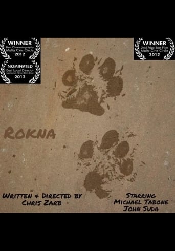 Poster of Rokna