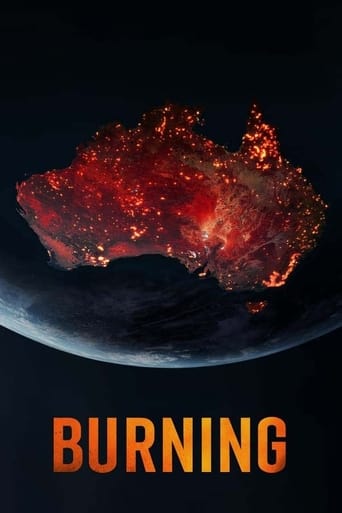 Poster of Burning