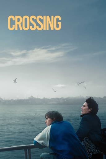 Poster of Crossing