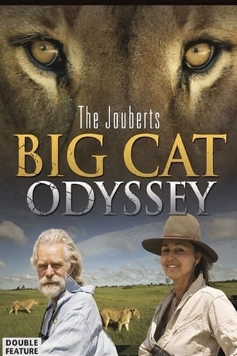 Poster of Big Cat Odyssey