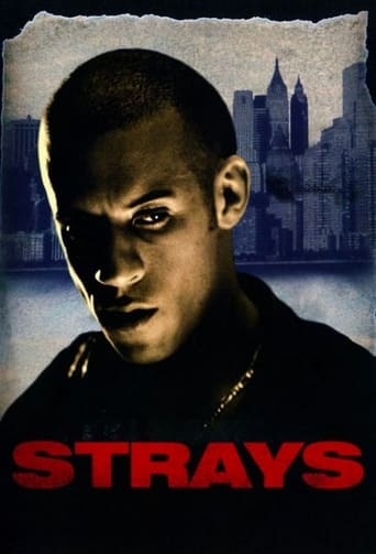 Poster of Strays