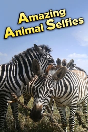 Poster of Amazing Animal Selfies