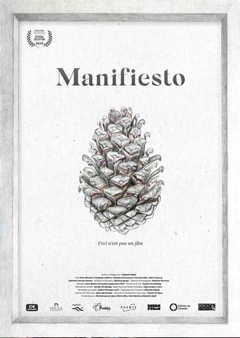 Poster of Manifiesto