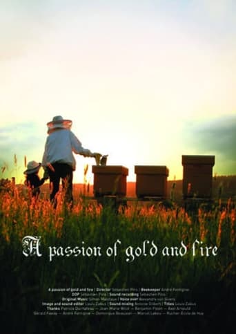 Poster of A Passion of Gold and Fire