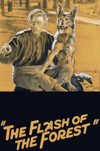 Poster of The Flash of the Forest