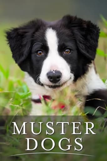 Poster of Muster Dogs