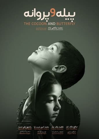 Poster of The Cocoon & Butterfly