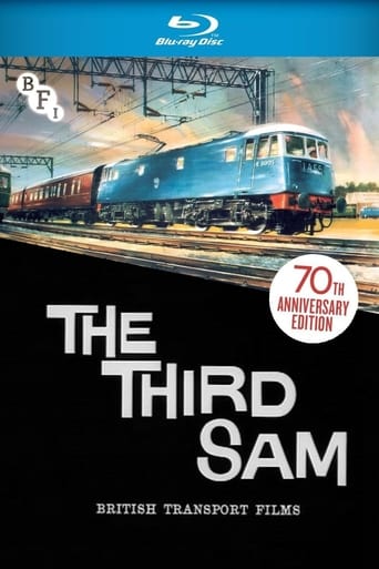 Poster of The Third Sam