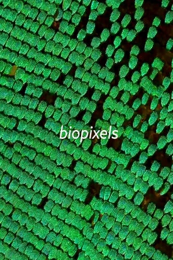 Poster of biopixels