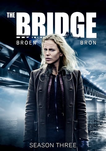 Portrait for The Bridge - Season 3