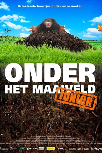 Poster of Onder het maaiveld junior