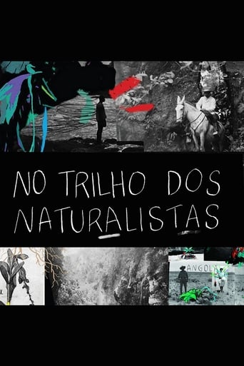 Poster of No Trilho dos Naturalistas: Angola