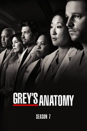 Portrait for Grey's Anatomy - Season 7