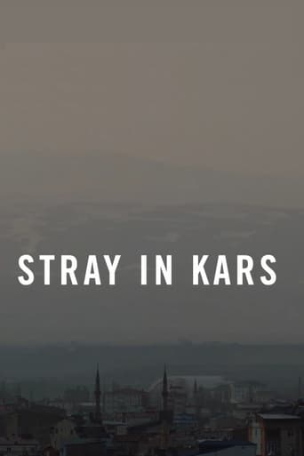 Poster of Stray in Kars