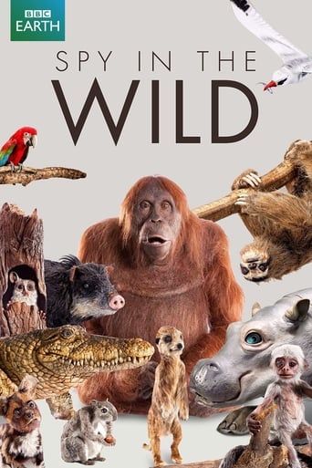 Poster of Spy in the Wild