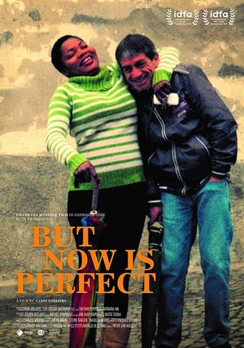 Poster of But Now Is Perfect