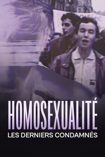 Poster of Homosexualité, les derniers condamnés