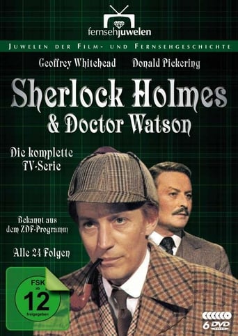 Portrait for Sherlock Holmes and Dr. Watson - Season 1