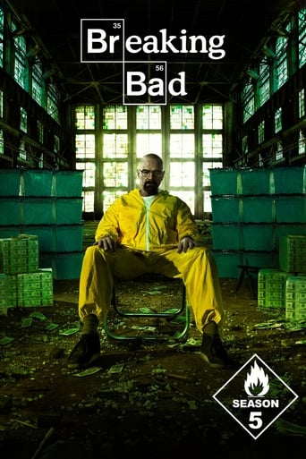 Portrait for Breaking Bad - Season 5