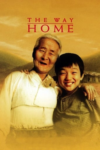 Poster of The Way Home