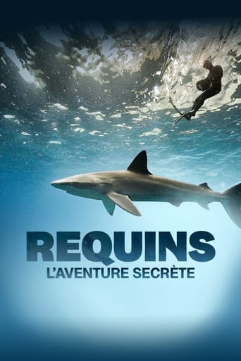 Poster of Sharks: The Secret Adventure