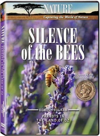 Poster of Silence of the Bees