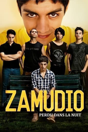 Portrait for Zamudio - Season 1