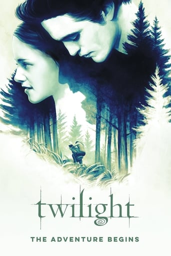 Poster of Twilight: The Adventure Begins