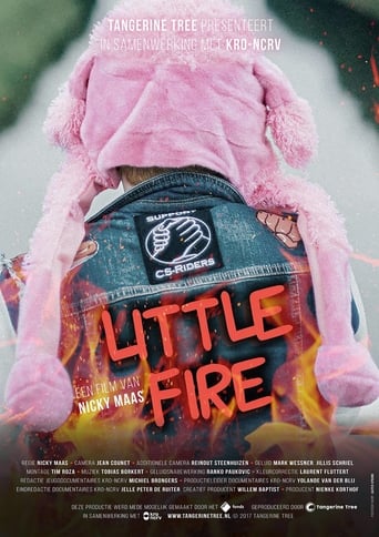 Poster of Little Fire