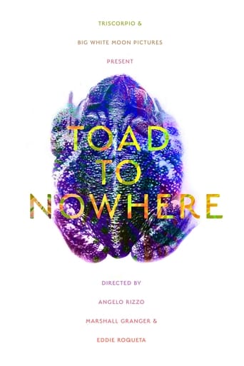 Poster of Toad to Nowhere