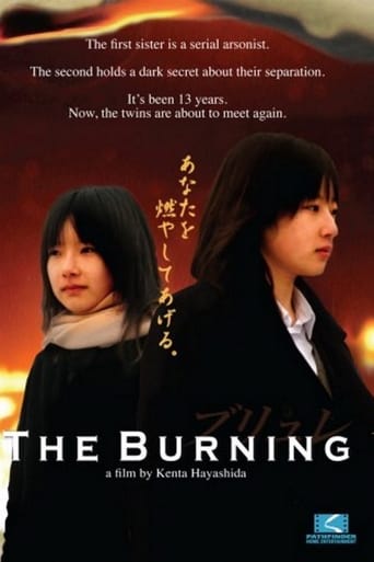 Poster of The Burning