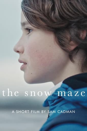 Poster of The Snow Maze