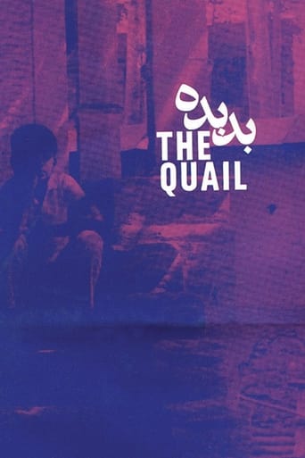 Poster of The Quail: The Tale of a Boy Who Asks