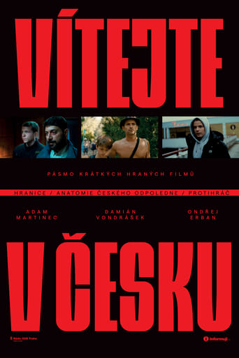 Poster of Vítejte v Česku