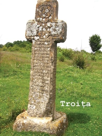 Poster of Troița