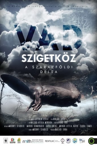 Poster of Szigetköz - The Inland Delta of the River Danube