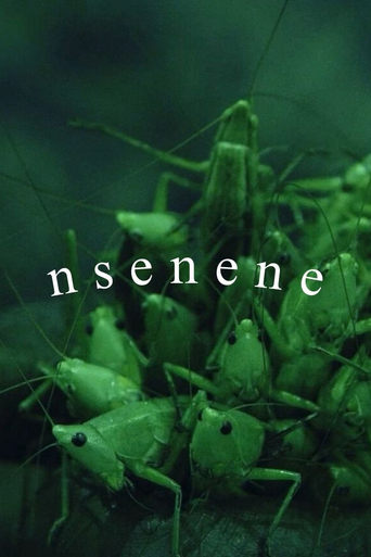 Poster of Nsenene