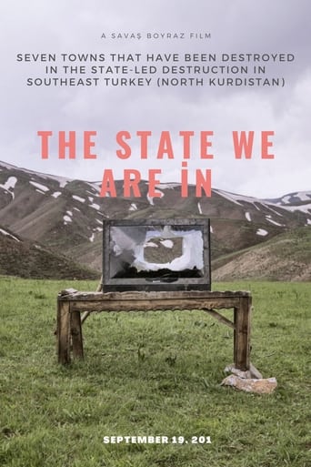 Poster of The State We Are İn