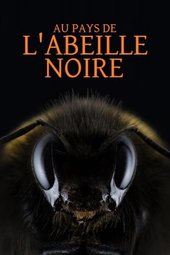 Poster of Au pays de l'abeille noire