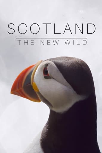 Poster of Scotland: The New Wild