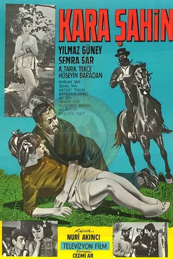 Poster of Kara Şahin