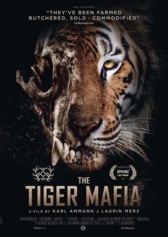 Poster of The Tiger Mafia