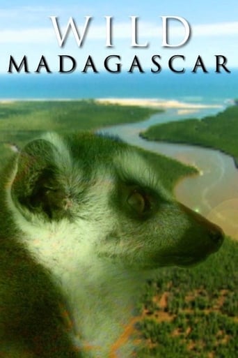 Poster of Wild Madagascar