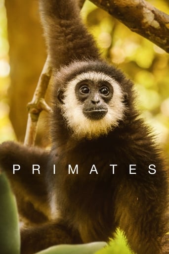 Portrait for Primates - Season 1