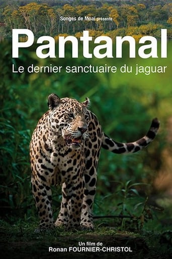 Poster of Pantanal, le dernier sanctuaire du jaguar