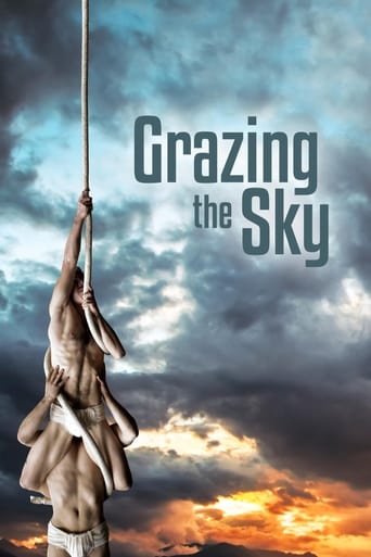 Poster of Grazing the Sky