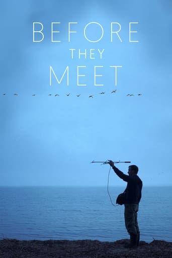 Poster of Before They Meet