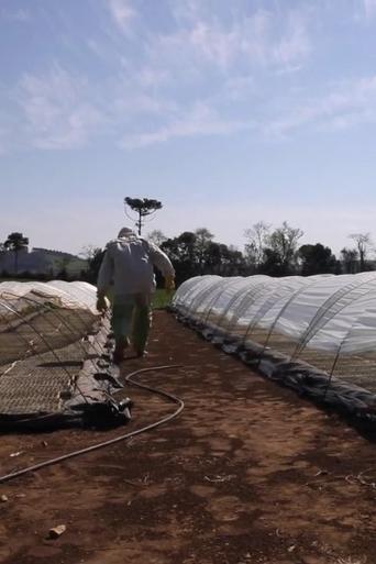 Poster of Travessias em Busca da Agroecologia