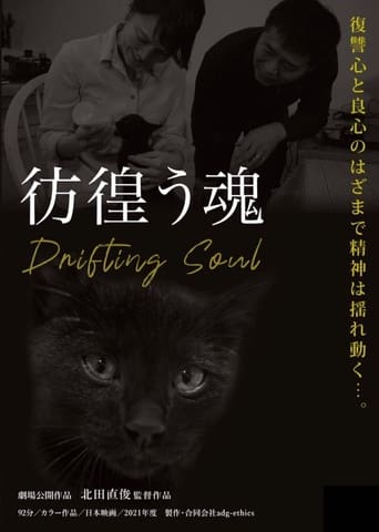 Poster of Drifting Soul